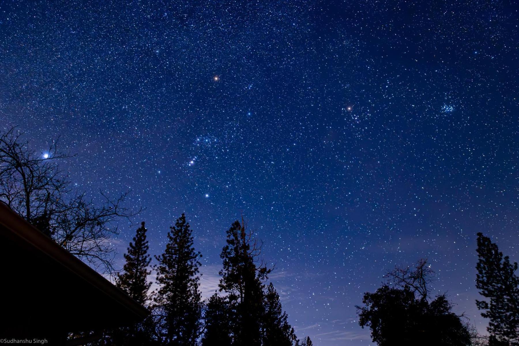 Mountain View, Near Yosemite & Bass Lake, Bbq, Fireplace,Evc Oakhurst Eksteriør bilde